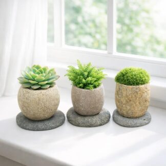 Mini River Stone Succulent Planter with Stone Base